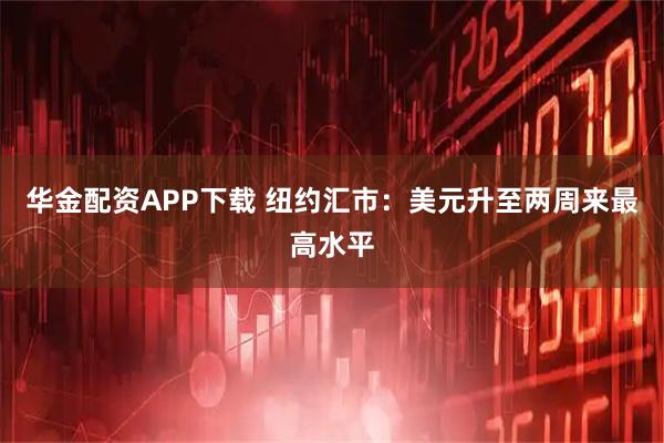 华金配资APP下载 纽约汇市：美元升至两周来最高水平